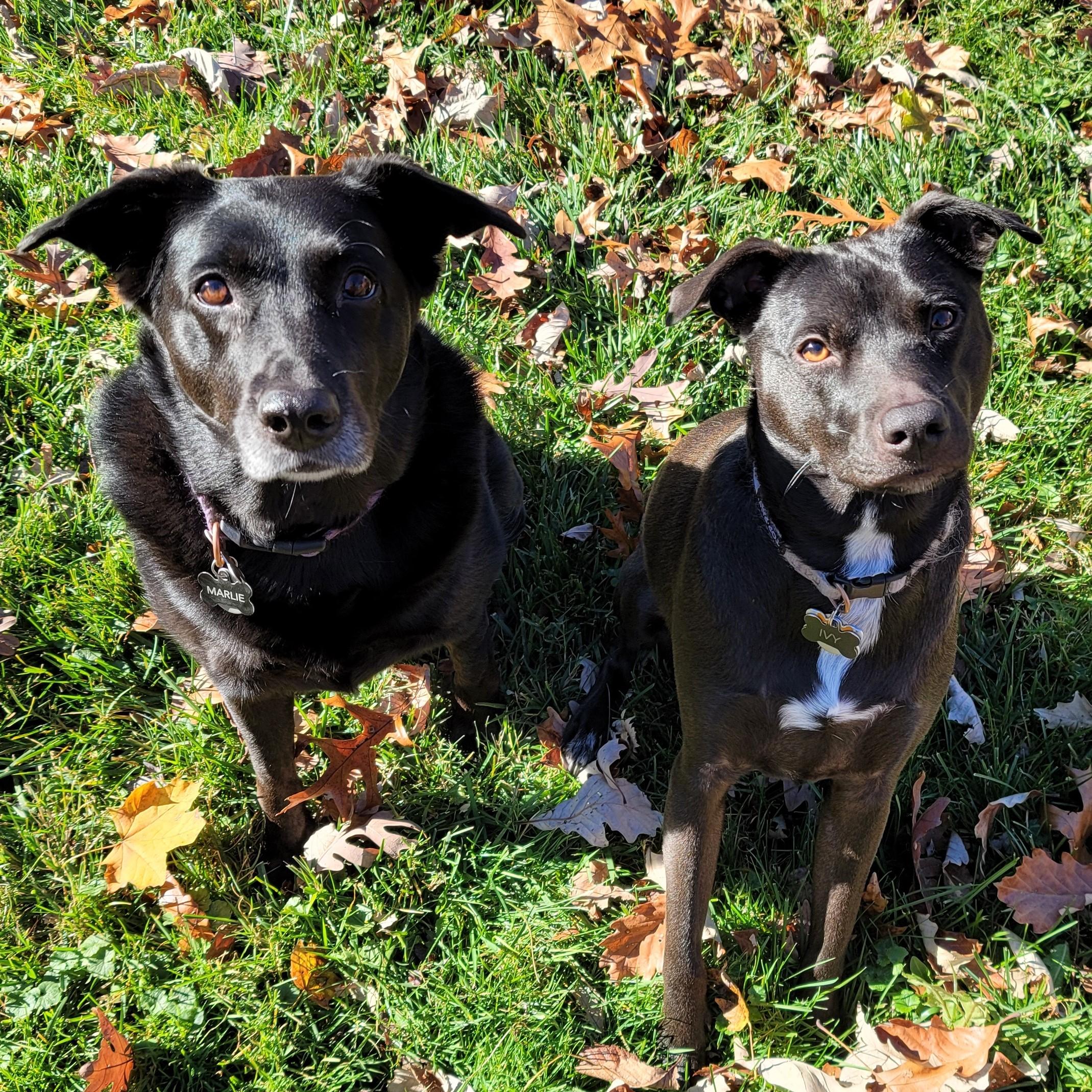 Recreating our favorite picture exactly two years later! Toledo, Ohio 2024