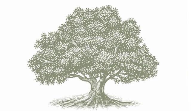 Footer image