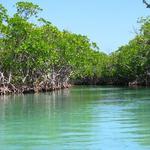 Isla de Gilligan