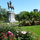 Boston Public Garden