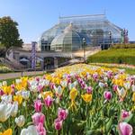 Phipps Conservatory and Botanical Gardens