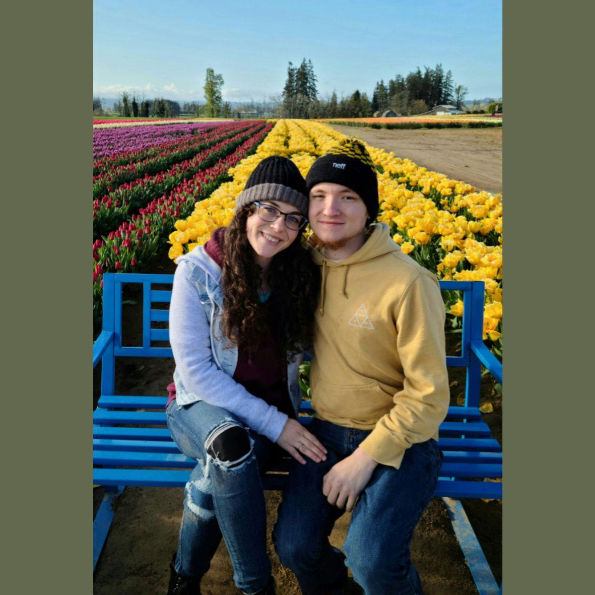 The Tulip Festival