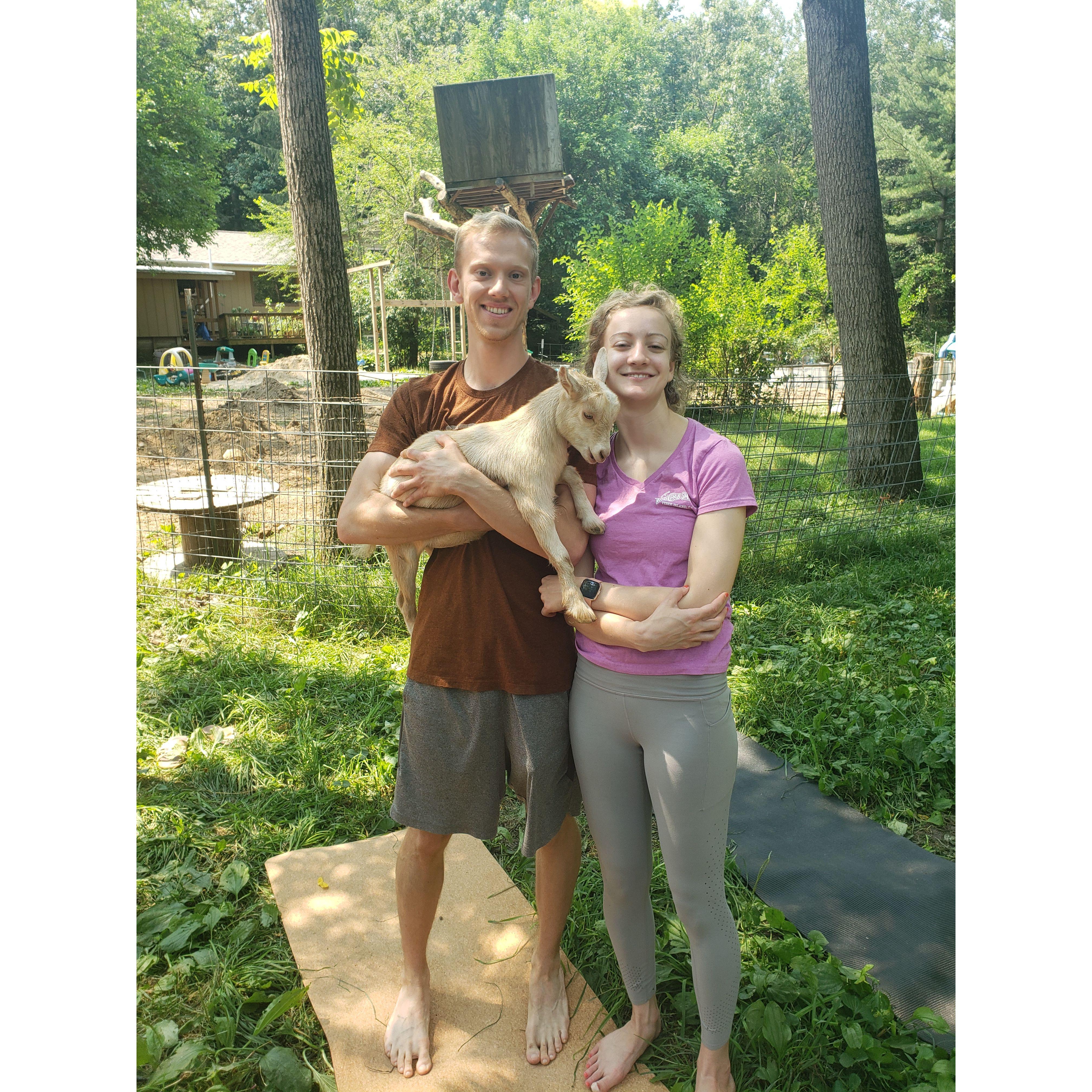 Yoga in a goat pasture