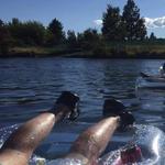 Float The River!