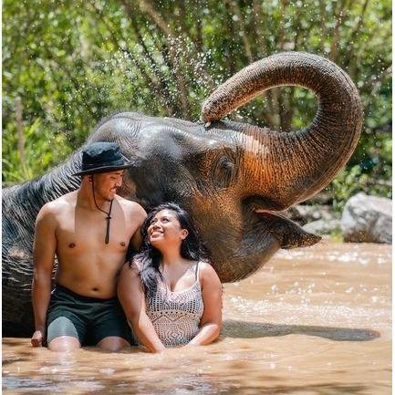 Chai Lai Orchid, Chiang Mai, Thailand, 7/2023