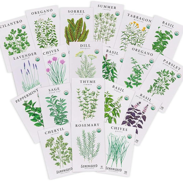 Sereniseed Certified Organic Herb Seeds (20-Pack) – Non GMO, Heirloom – Seed Starting Video – Basil, Cilantro, Oregano, Thyme, Parsley, Lavender, Chives, Sage, Dill Seeds for Indoor & Outdoor Planting