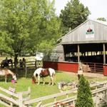 Barnyard Friends & Stables