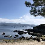 Beaches