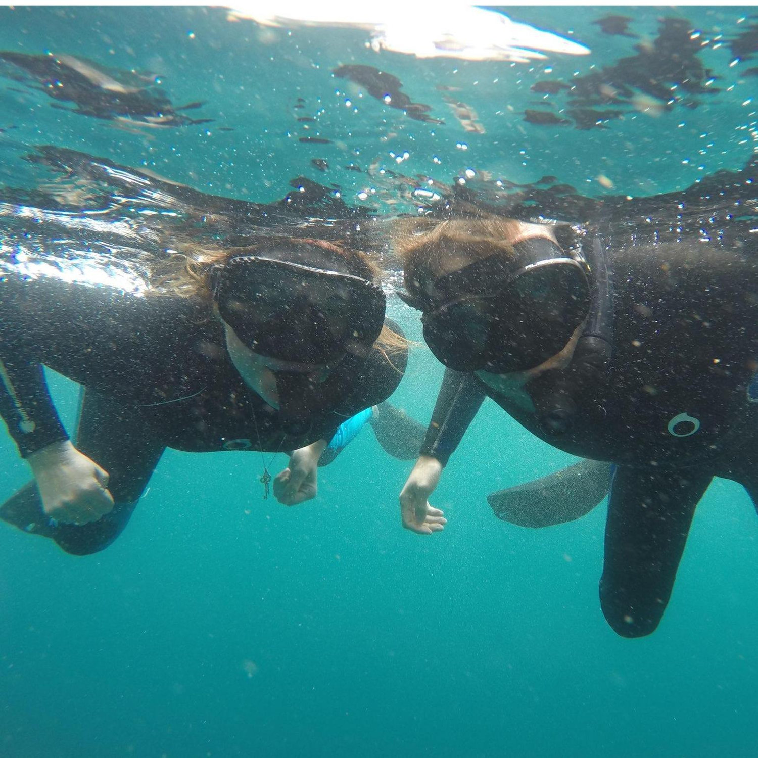 Snorkeling in the Galapagos