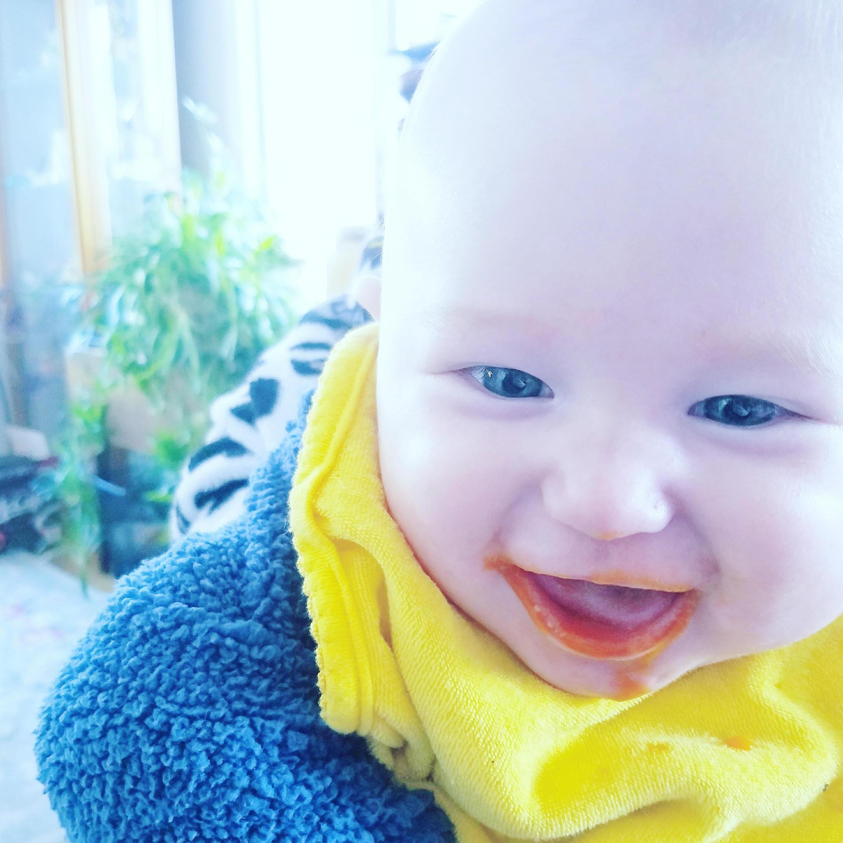 Logan's first time demolishing the carrots!