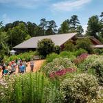 North Carolina Botanical Garden