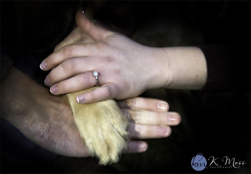 The Wedding Website of Kristen Straub and Zachary Kreitz