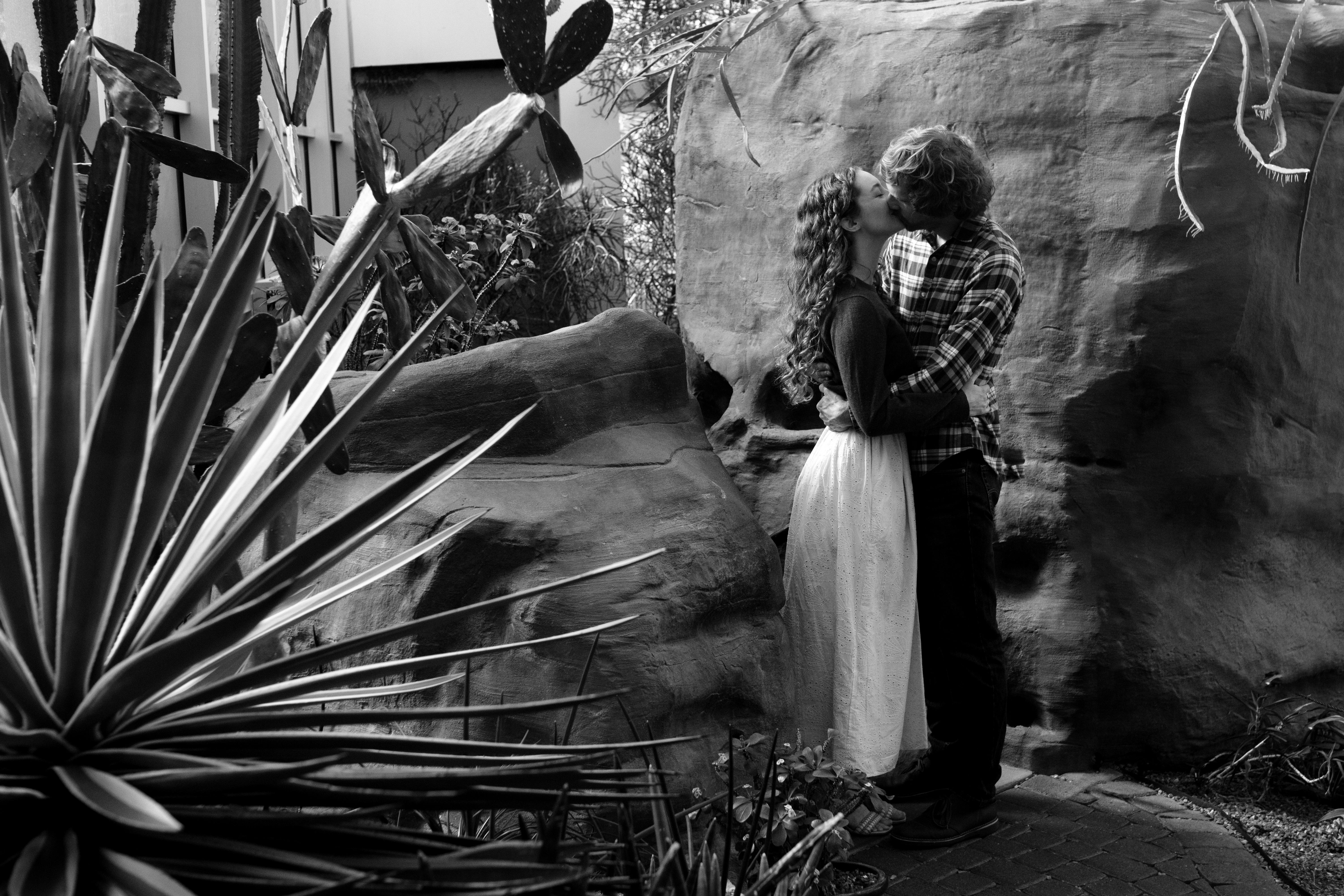The Wedding Website of Andrew Tenison and Abigail Musch