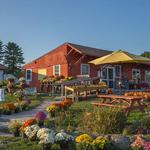 Market & Cafe at Emery Farm