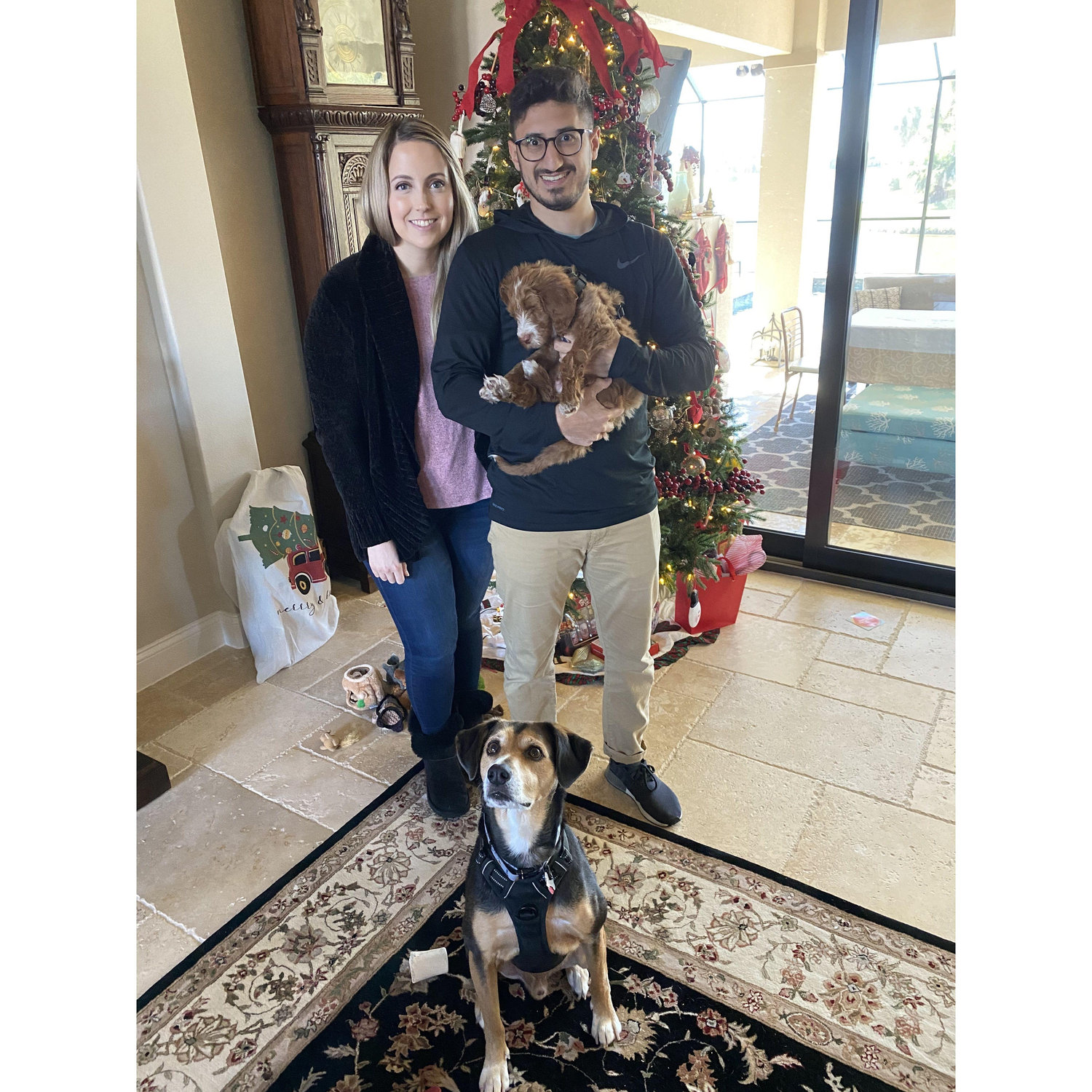 First Christmas with Teddy!