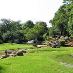 Children's Park