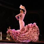 Flamenco Shows