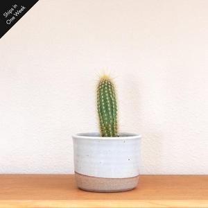 4" Planter