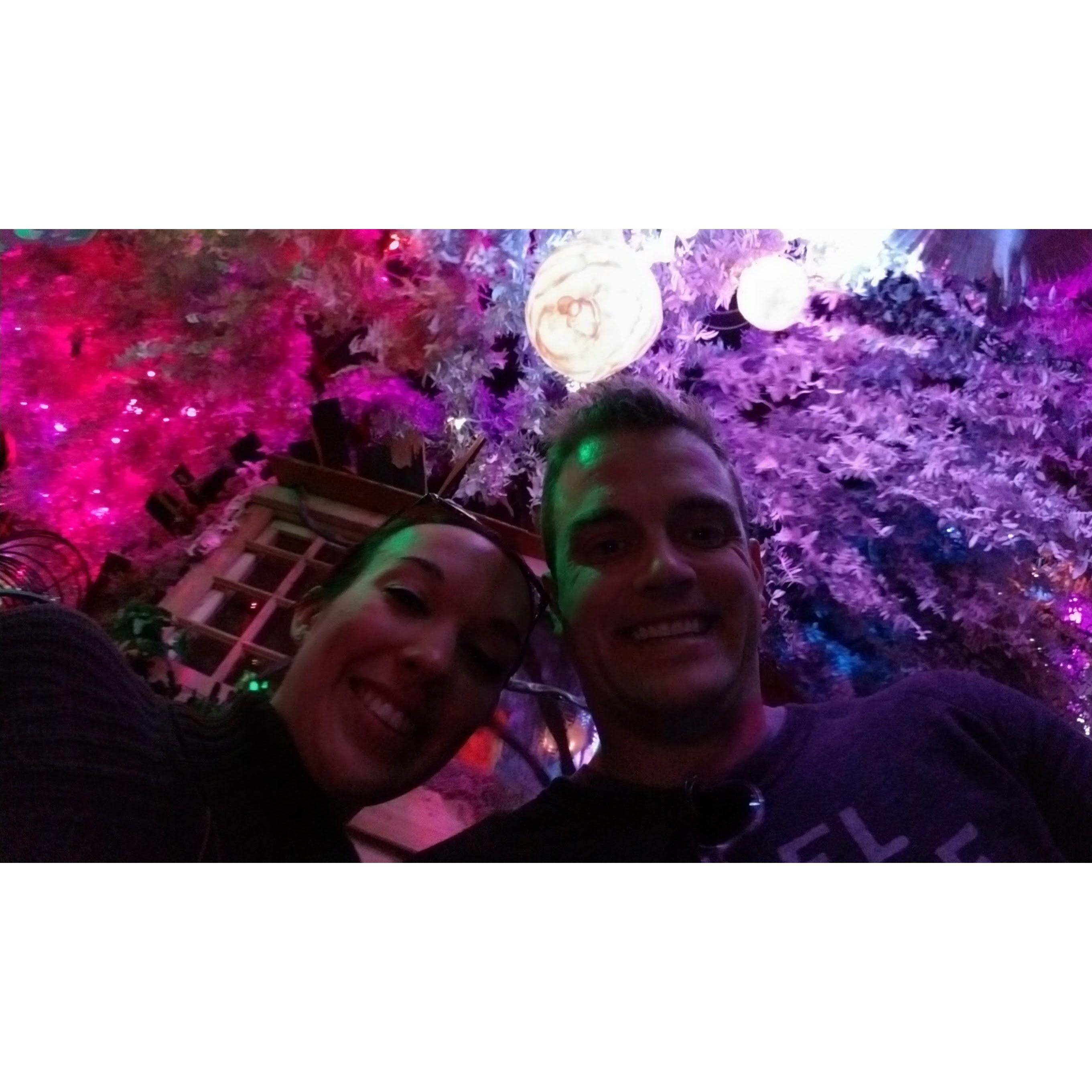 Meowwolf, NM