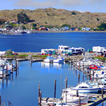 Bodega Bay