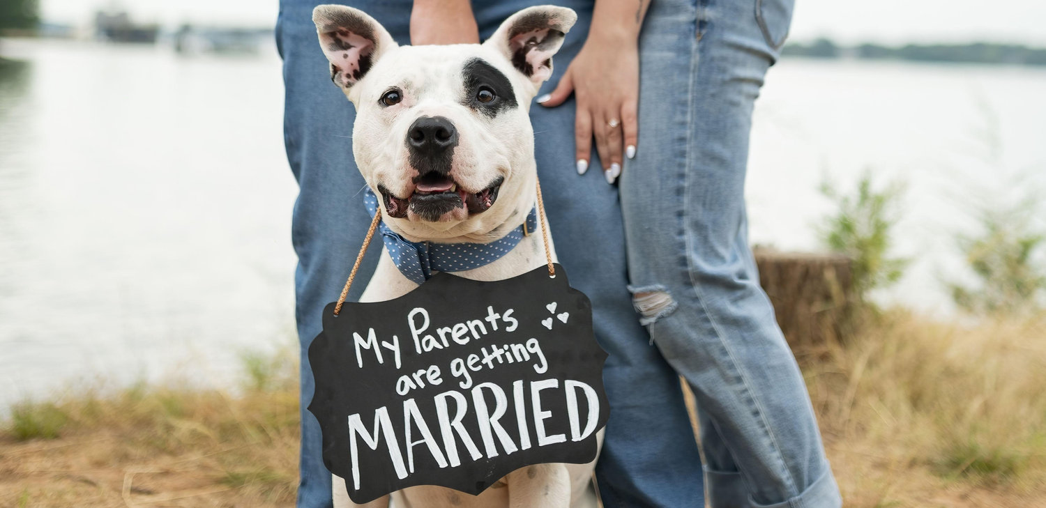 The Wedding Website of Emily Thomas and Joel Martin