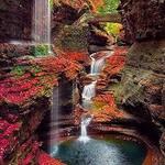 Watkins Glen State Park