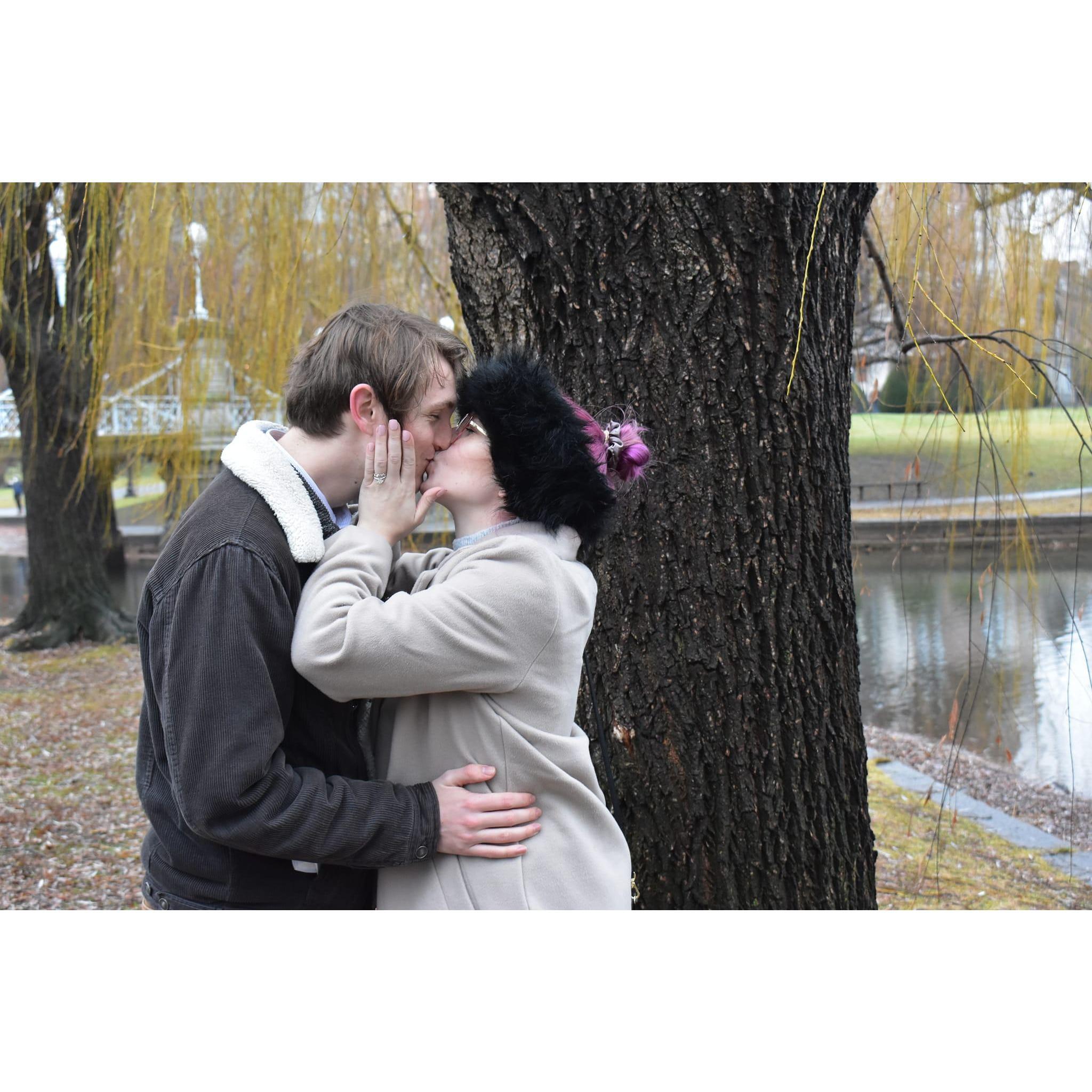 Nate proposed on our winter road trip at the Boston Public Gardens.