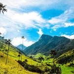 Valle del Cocora