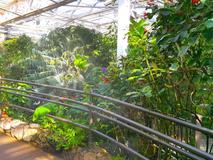 Butterfly Pavilion