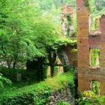 Sweetwater Creek State Park