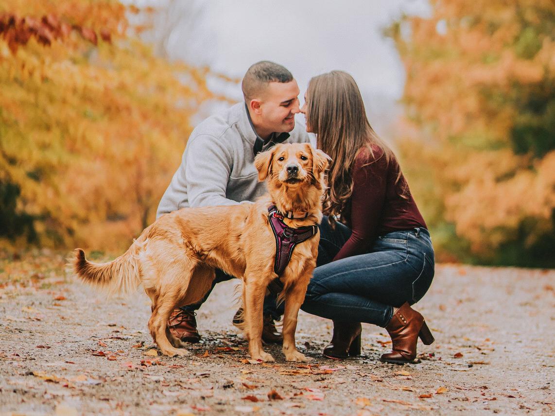 e708fd6c-5130-4ecf-8aff-8d923074a7f0