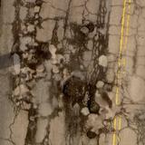 The Potholes at the Pittsburgh Mills