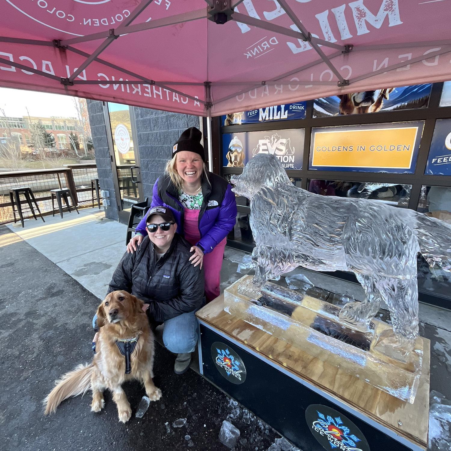 Golden girl Flynn at Goldens in Golden Colorado.