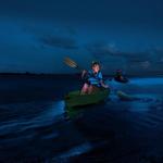 Bioluminescent Bay-Lagoon