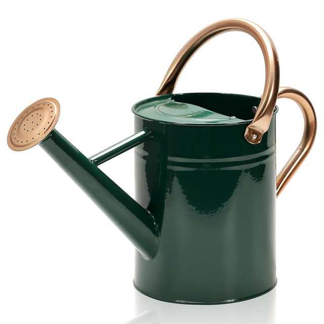 Ausluru Metal Watering Can with Removable Spout, Galvanized Watering Can, Perfect for Indoor Use and for Outdoor Use (1 Gallaon, Green)