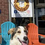 Chubby Dog Coffee Co.