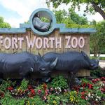 Fort Worth Zoo