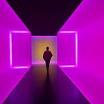 The Museum of Fine Arts, Houston