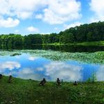 Rockefeller State Park Preserve