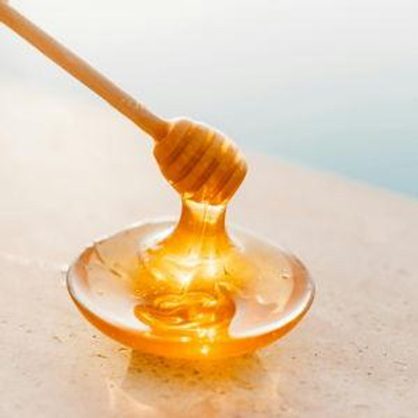 Honey Pot