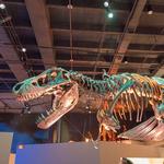 Houston Museum of Natural Science