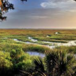 Beaufort Lands End Paddling