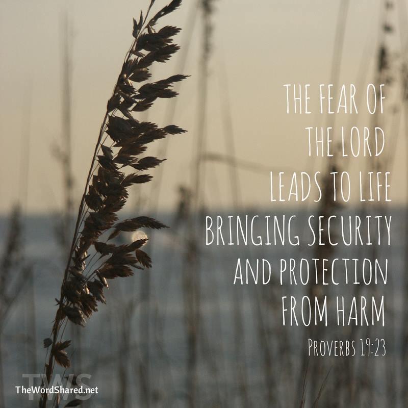 "In Him all things are held together"