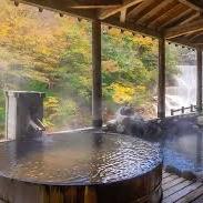 Traditional Japanese Hot Springs