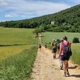 Via Francigena Trail