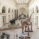 Field Museum