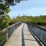 Emerson Point Preserve