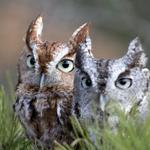 Cedar Run Wildlife Refuge