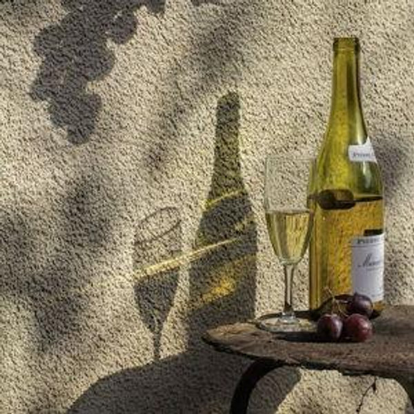 Wine Tasting For Two