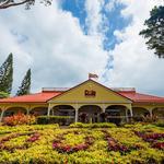 Dole Plantation